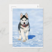Puppy Husky in het winterlandschap Feestdagenkaart (Voorkant / Achterkant)