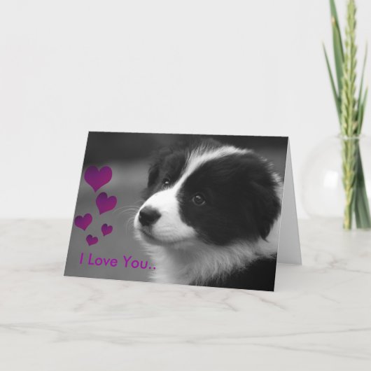 Puppy, ik hou van je kaart (Voorkant)