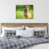 Puppy in de gras canvas afdruk (Insitu (Slaapkamer))