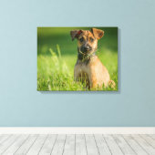 Puppy in de gras canvas afdruk (Insitu (Houten vloer))