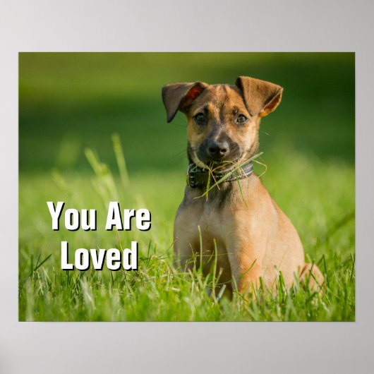 Puppy in de gras poster (Voorkant)
