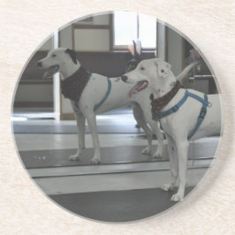 Puppy in de spiegel zandsteen onderzetter