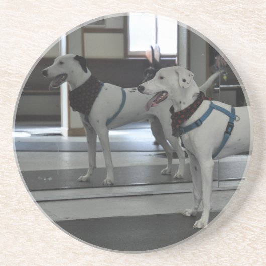 Puppy in de spiegel zandsteen onderzetter (Voorkant)