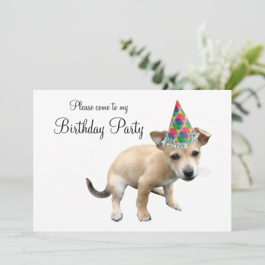 Puppy in de Uitnodiging van de Dagen van het Pet v (Staand voorkant)