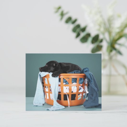 Puppy in de wasmand briefkaart (Staand voorkant)