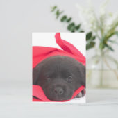 Puppy in deken briefkaart (Staand voorkant)