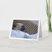 Puppy in Dekentje Kaart (Voorkant)