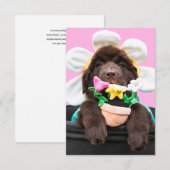 Puppy in een bloempot wenskaart 2 bedankkaart (Voorkant / Achterkant)