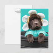 Puppy in een bloempot wenskaart bedankkaart (Voorkant / Achterkant)