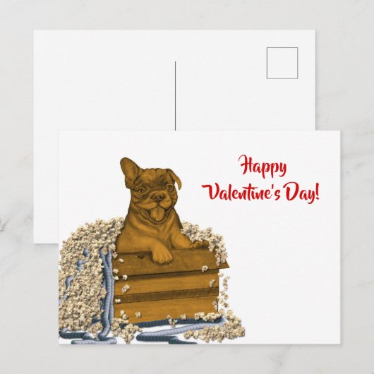 Puppy in een doos, Fijne Valentijnsdag! Briefkaart (Voorkant / Achterkant)