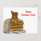 Puppy in een doos, Fijne Valentijnsdag! Briefkaart (Voorkant)