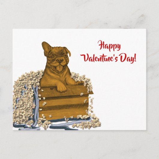 Puppy in een doos, Fijne Valentijnsdag! Briefkaart (Voorkant)