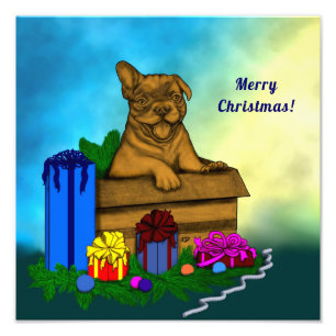Puppy in een doos, Merry Xmas Foto Afdruk