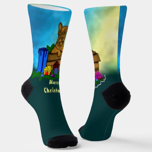 Puppy in een doos, Merry Xmas Sokken (Gebogen)