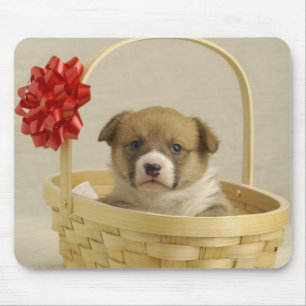 Puppy in een mandje muismat