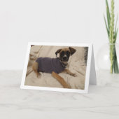 Puppy in een trui kaart (Voorkant)
