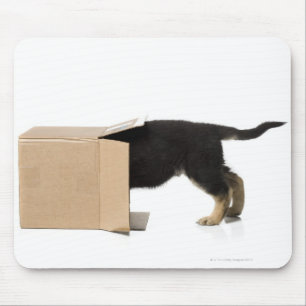Puppy in kartonnen doos muismat