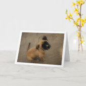 Puppy in liefde kaart (Gele Bloem)