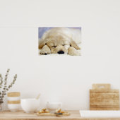Puppy in slaap poster (Keuken)