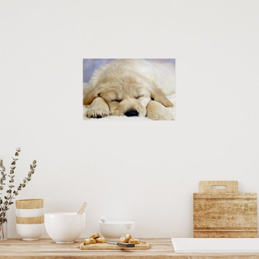 Puppy in slaap poster (Keuken)
