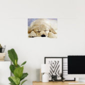 Puppy in slaap poster (Thuiskantoor)