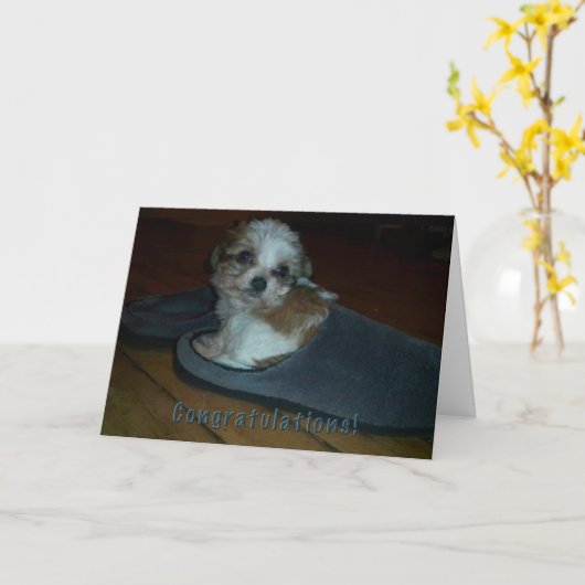Puppy in slipper, gefeliciteerd puppy adoptie. kaart (Gele Bloem)