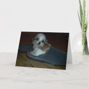 Puppy in slipper, gefeliciteerd puppy adoptie. kaart