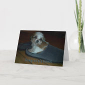 Puppy in slipper, gefeliciteerd puppy adoptie. kaart (Voorkant)
