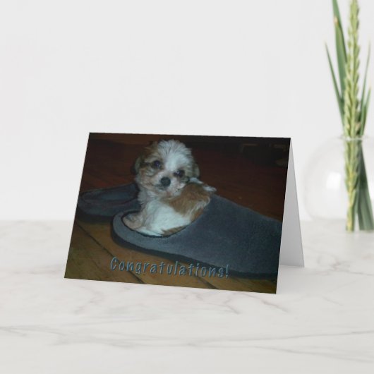 Puppy in slipper, gefeliciteerd puppy adoptie. kaart (Voorkant)