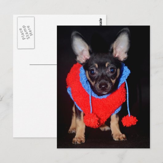 Puppy in wastafel briefkaart (Voorkant / Achterkant)