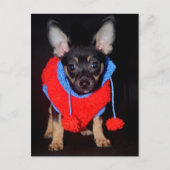 Puppy in wastafel briefkaart (Voorkant)