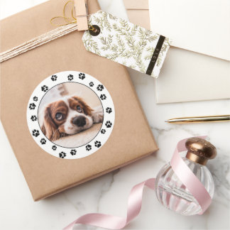 Puppy Instagram Foto zwarte pagina's Stickers afdr