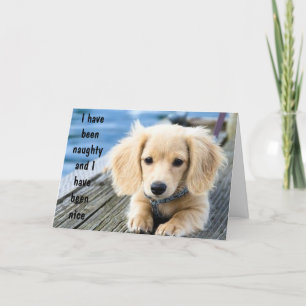 PUPPY IS ONDEUGEND / LEUK GEWEEST MET KERST FEESTDAGEN KAART