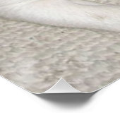 puppy jack russell doodsbang perfect poster (Hoek)