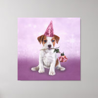 Puppy Jack Russell Terrier