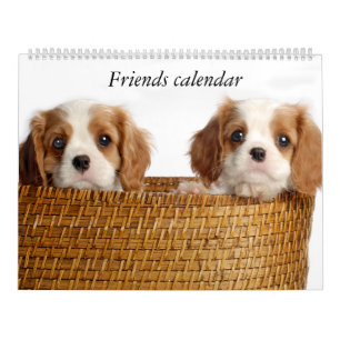 Puppy-kalender Kalender