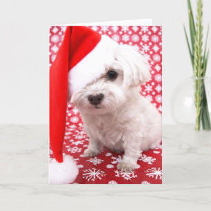 Puppy kerstKaart Feestdagen Kaart