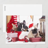Puppy kerstmanshaai feestdagenkaart (Voorkant / Achterkant)