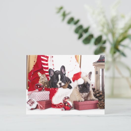 Puppy Kerstmis Franse Bulldog Feestdagenkaart (Staand voorkant)