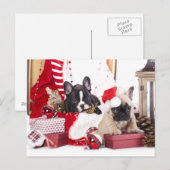 Puppy Kerstmis Franse Bulldog Feestdagenkaart (Voorkant / Achterkant)
