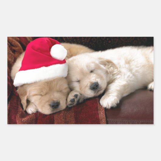 Puppy Kerstmis Rechthoekige Sticker (Voorkant)