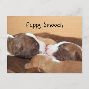 Puppy kiss briefkaart