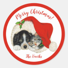 Puppy & Kitten Merry-kerstkaartjes