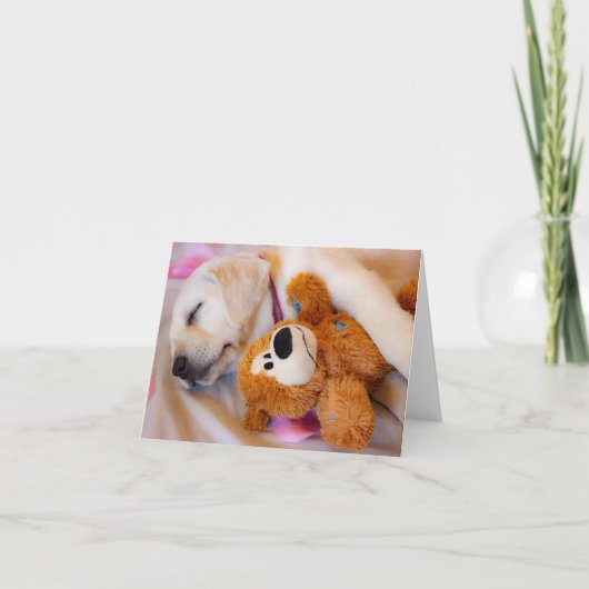 Puppy knuffels aankondiging (Voorkant)