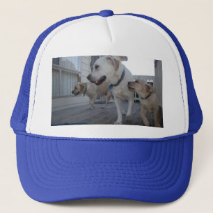 Puppy Kusjes: Crème Kleur Labrador Familie Liefde, Trucker Pet