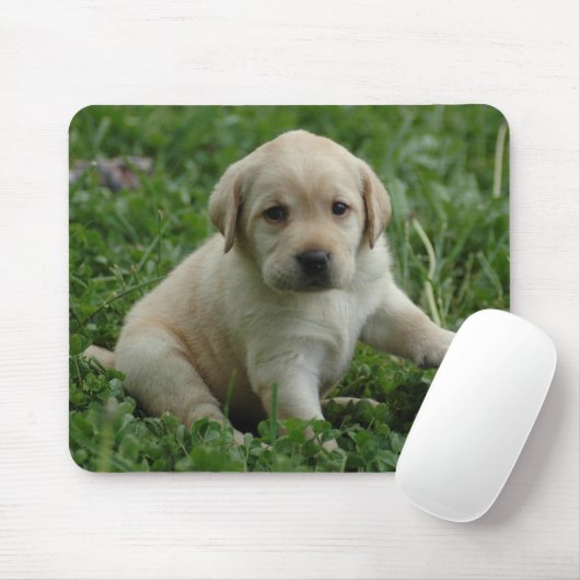 puppy-lab-HD-behang Muismat (Met muis)