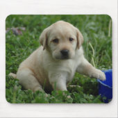 puppy-lab-HD-behang Muismat (Voorkant)