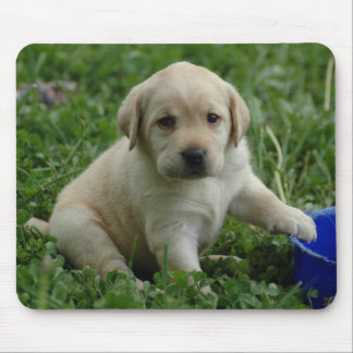 puppy-lab-HD-behang Muismat