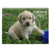 puppy-lab-HD-wallpaper, ONZE JAAR "2011" Kalender (Hoes)