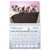 puppy-lab-HD-wallpaper, ONZE JAAR "2011" Kalender (Feb 2027)
